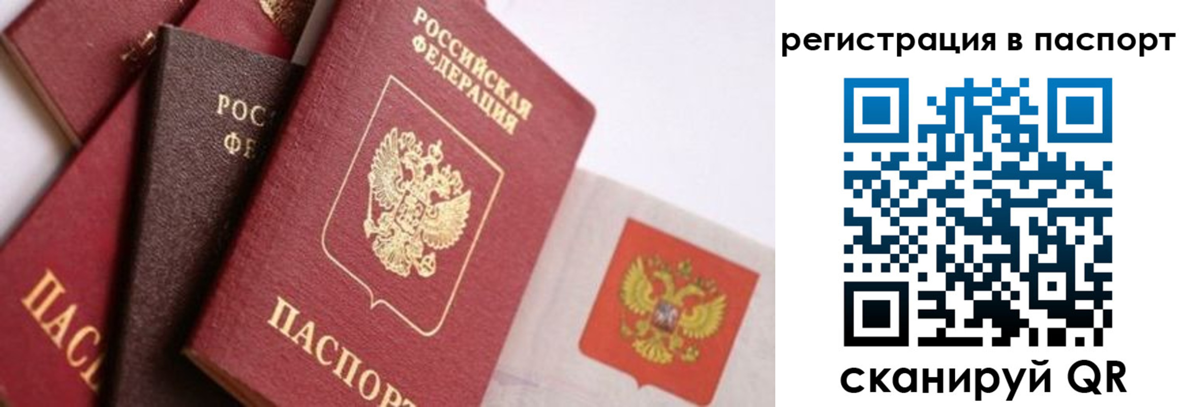 прописка в квартире в Ярославской области